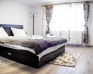 Отели типа «постель и завтрак» Pensiunea Dan-Ge-La Sălaşu de Sus Номер Делюкс с кроватью размера «queen-size»-1